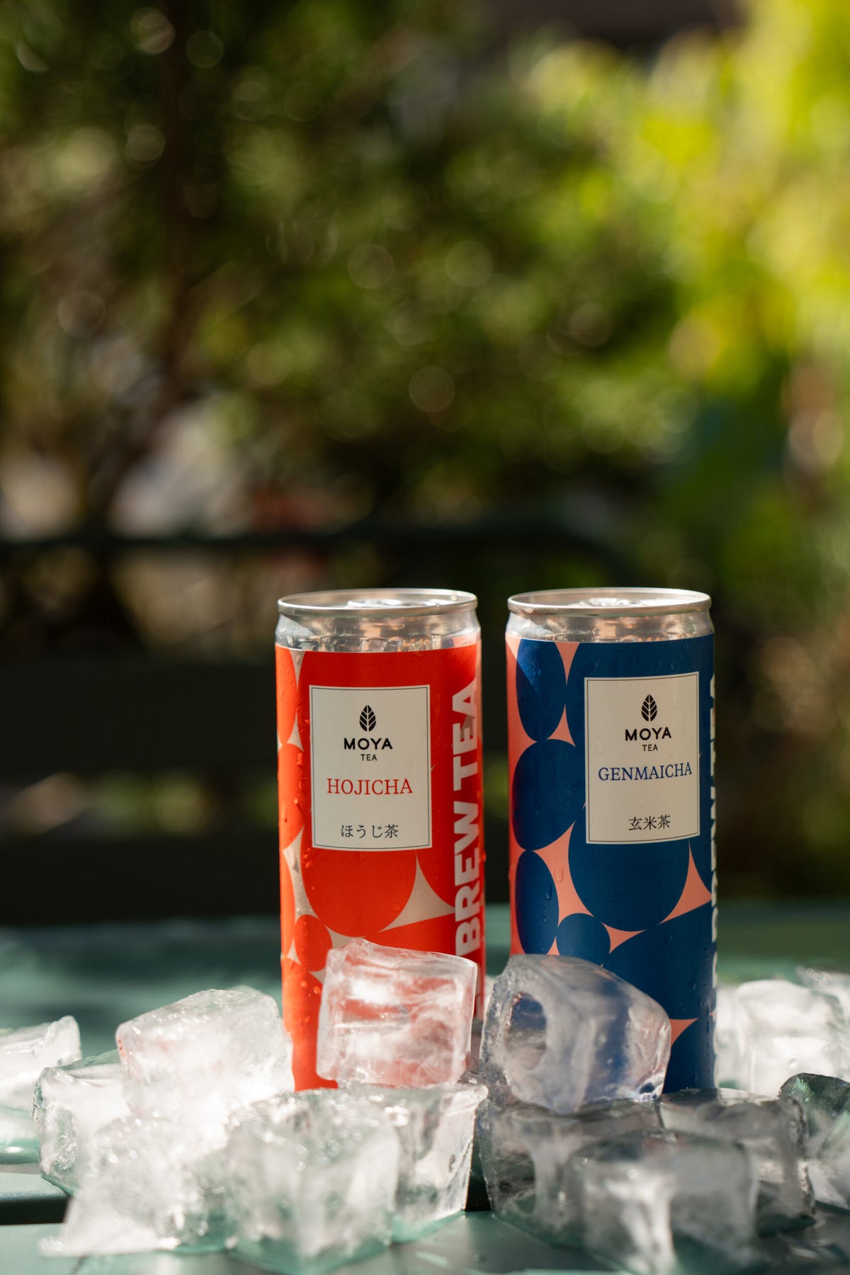 Moya Cold Brew Genmaicha — напій у банці, 250 мл